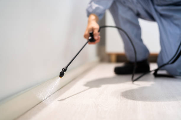Licensed Ant Control service in Harrah, OK - Show Me Pest Control