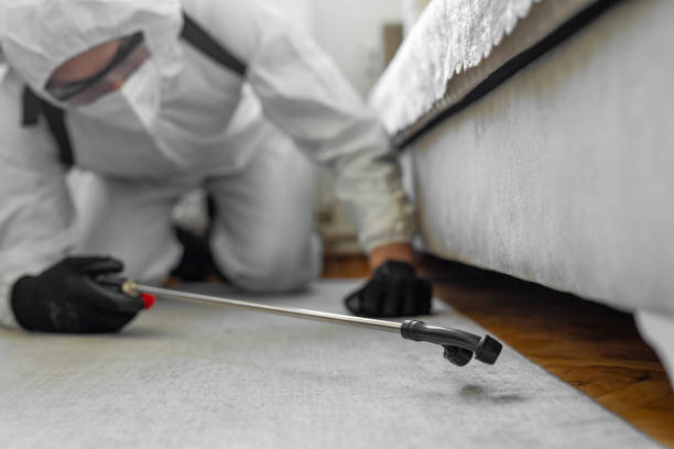 Professional Ant Control technician working in Harrah, OK