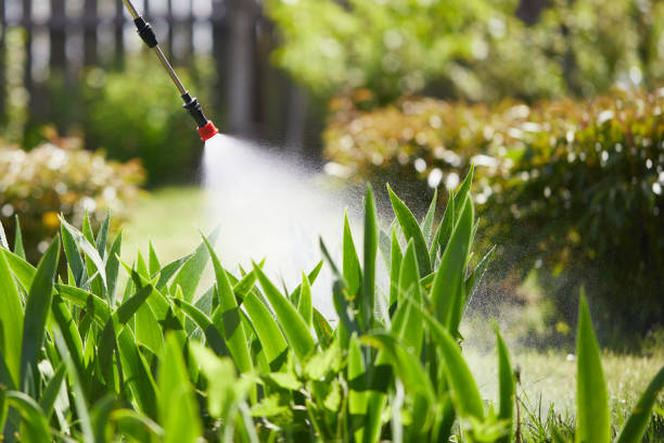 24/7 Emergency Ant Control experts in Harrah, OK