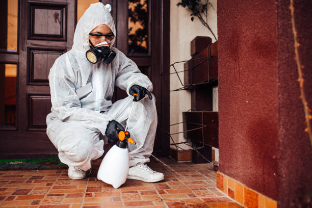 Reliable Ant Control contractor in Harrah, OK by Show Me Pest Control