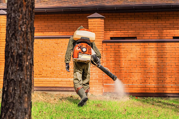 Top rated local Ant Control specialists in Harrah, OK